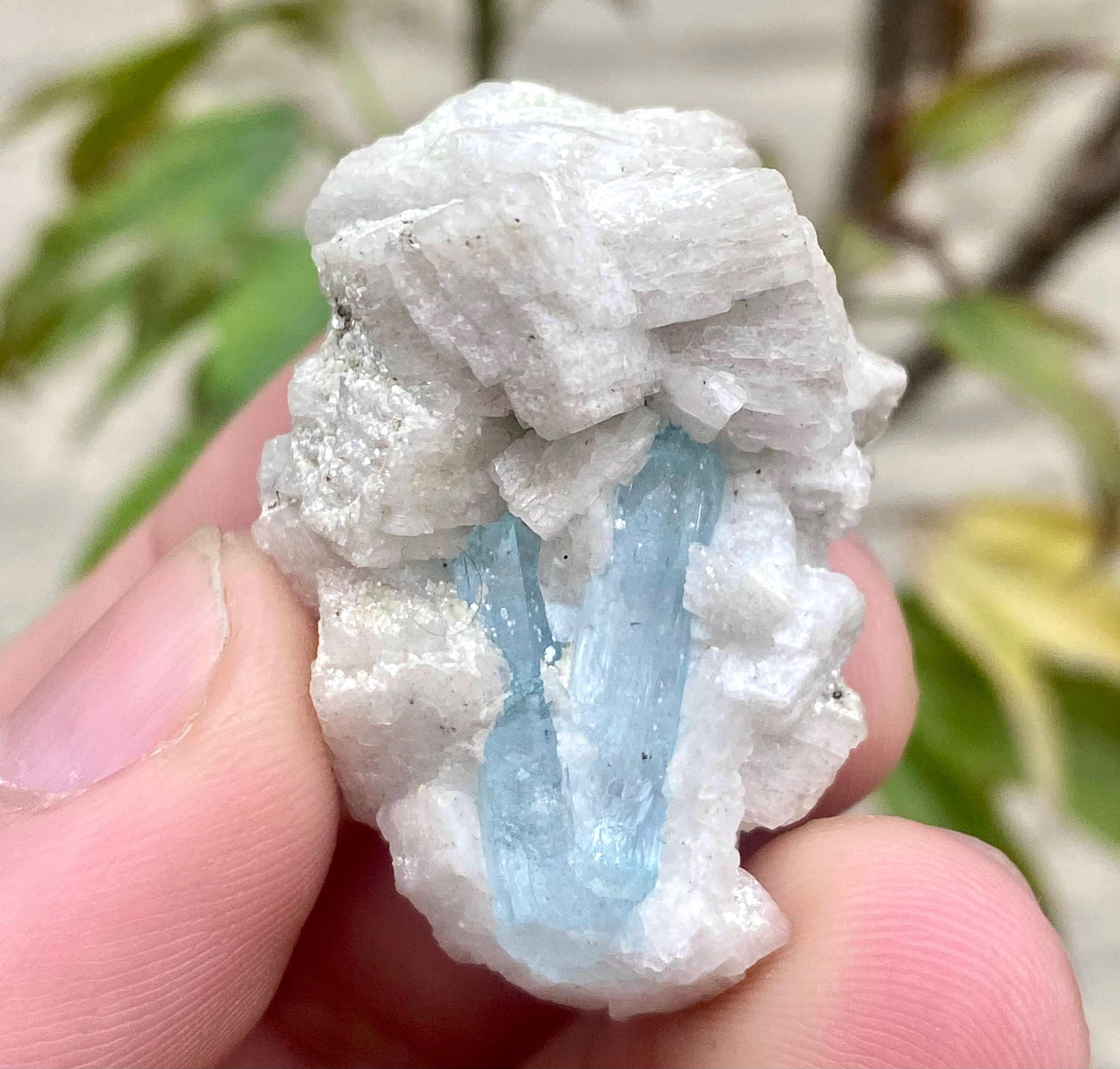 アクアマリンの標本 - Etsy 日本