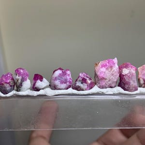 Puede incluir: Una fila de nueve cristales minerales en bruto de color magenta incrustados en una tira adhesiva blanca, montada sobre una base rectangular de plástico transparente. Los cristales varían en tamaño y forma, mostrando una mezcla de inclusiones minerales rosas y blancas.