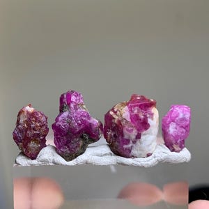 May include: Four raw, unpolished ruby crystals with deep magenta and pink hues, embedded in a textured white mineral matrix. The stones exhibit irregular, jagged shapes and crystalline surfaces, displayed in a horizontal row on a clear base.