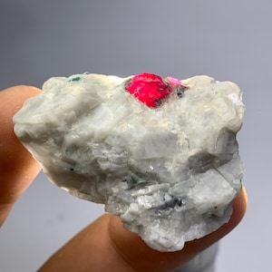 Puede incluir: Un espécimen mineral en bruto que presenta un gran cristal rojo vibrante incrustado en una matriz cristalina texturizada, de color blanco roto y translúcido. La piedra muestra bordes irregulares y una superficie natural rugosa con pequeñas inclusiones oscuras.