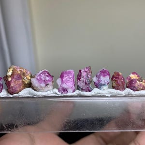 May include: A row of nine raw, deep pink and magenta crystals embedded in a white adhesive strip on a clear rectangular plastic base. The crystals vary in size and shape, displaying natural facets and rough textures with some white mineral inclusions.
