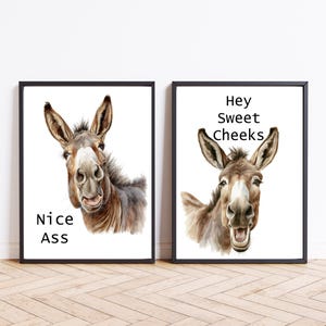 May include: Two framed art prints with watercolour illustrations of donkeys. One print reads "Nice Ass," the other says "Hey Sweet Cheeks." The donkeys have expressive faces, adding a humorous touch to the artwork.