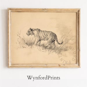 May include: A framed vintage print featuring a detailed black and white illustration of a tiger walking through tall grass. The artwork has a sepia-toned background and is set in a gold-colored wooden frame. The text "WynfordPrints" is at the bottom.