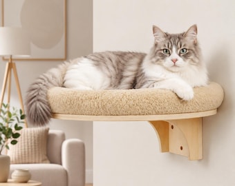 Wall Mounted Cat Bed and Climbing Steps Set, Wooden Cat Shelf with Plush Perch and Sisal Scratching Ladder set of 5