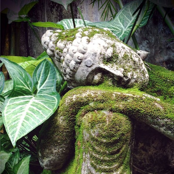 Yoga Art, Meditation Altar, 11x14 Spiritual Photography, Bali Garden, Buddha Art, Garden Sculpture Art, Yoga Studio Decor, Yoga Artwork