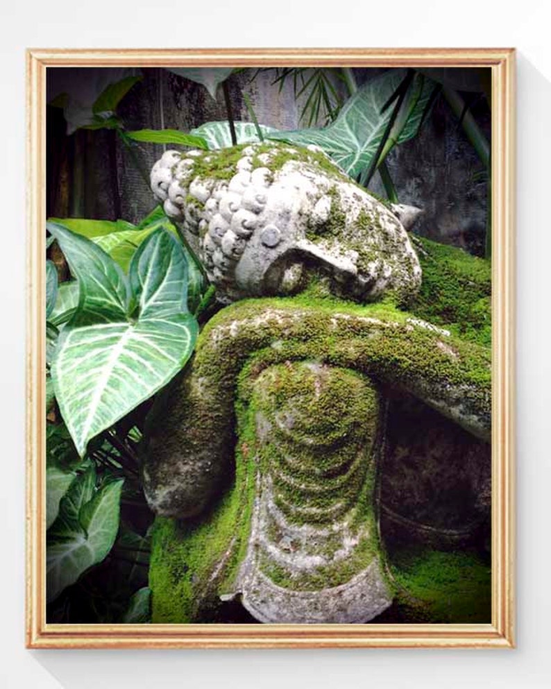 Meditation Print, Buddha Wall Art, Buddha Print, Spiritual Art, Bali Garden, Yoga Art, Buddha Art, Yoga Art, Yoga Wall Art, Unframed image 2