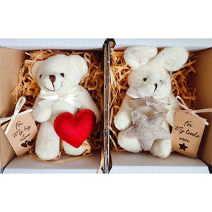 Basket heart deals teddy