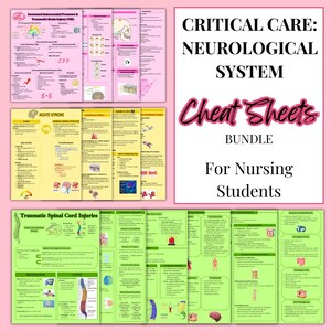 Puede incluir: Un paquete de hojas de trucos para estudiantes de enfermería sobre sistemas neurológicos de cuidados intensivos. Las hojas son rosas y verdes, con diagramas y texto detallados. El título "Cheat Sheets Bundle For Nursing Students" se muestra en rosa.