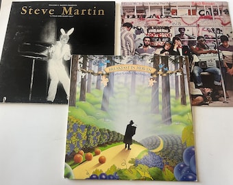 Comedy Vinyl Record Album Lot: Steve Martin, Father Guido Sarducci, David Brenner