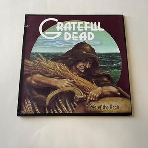 Grateful The Flood ビニールレコード LP GD-01 Grateful Dead Records 1973 レコードセール (説明を読む)