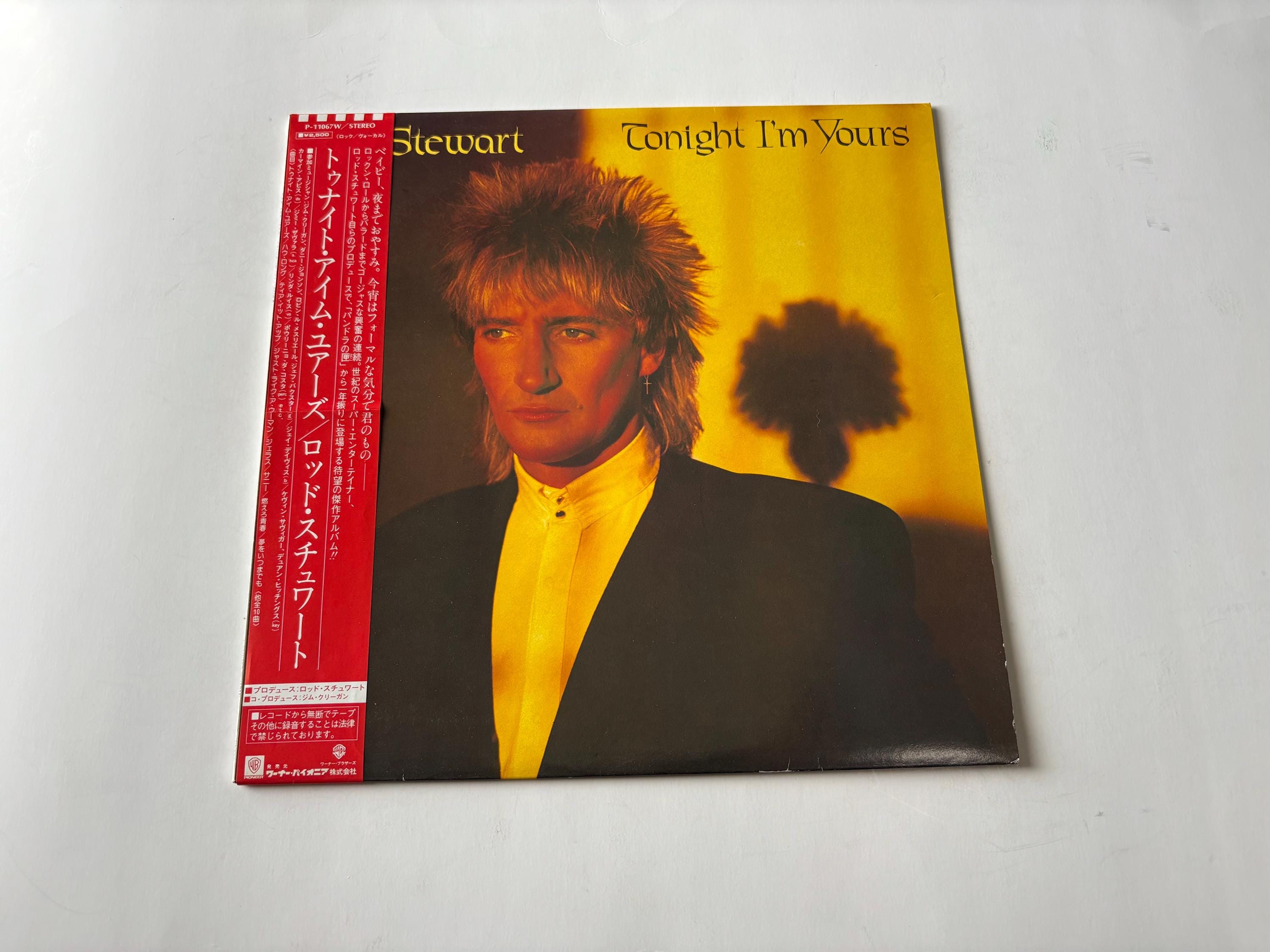 ロッド・スチュワート - Tonight I
