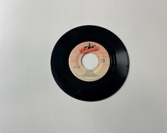 The Angels My Boyfriend's Back 45 Record 7