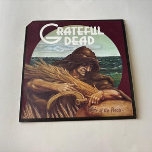 グレイトフル・ザ・フラッド ビニールレコード LP GD-01 グレイトフル・デッド・レコード 1973 レコードセール (説明を読む)