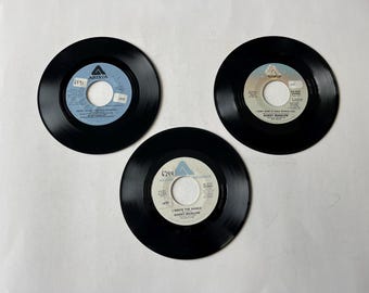 トーキング・ヘッズ 45回転レコード ロット: ワイルド・ワイルド
