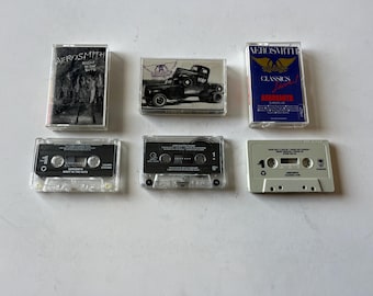 スティーブン・タイラーのサイン入りエアロスミス11 x 14インチ額入り