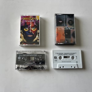 David Lee Roth Cassette Lot: Your Filthy Little Mouth, Eat &#39;Em And Smile