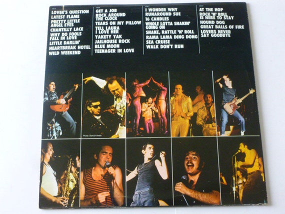 Sha Na Na The Golden Age Of Rock N Roll Vinyl Record Etsy
