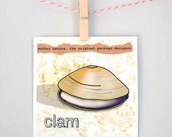 Any occasion, for anyone who loves nature, design, "Mother nature: the original package designer, clam"