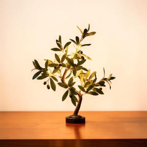 May include: A miniature olive tree with green leaves and small black olives. The tree has a brown trunk and branches, and it is set in a black base. The tree is placed on a wooden surface.