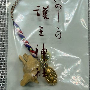 Vintage Kyoto Goo Shrine Wild Boar Aviation Amulet, Flight Travel Safety Gold Coin Netsuke, Japanese Omamori Wooden Inoshishi Charm