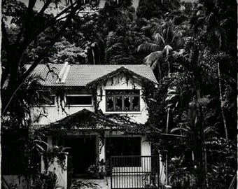 Él nunca salió de la casa.