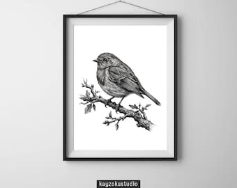 Op de afbeelding: Een zwart-wit afdruk in een lijst met een gedetailleerde illustratie van een vogel op een tak. De tekening gebruikt fijne lijnen om de veren van de vogel en de textuur van de tak weer te geven. De tekst "kayzokustudio" staat onderaan.