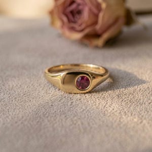 May include: A gold signet ring featuring a single, round, faceted magenta gemstone set flush into the polished metal surface. The band has a smooth, rounded profile, and the gemstone is positioned off-center on the flat face of the ring.