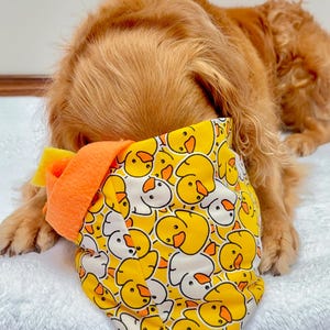 Pet Snuffle Bag| Interactive dog Toy| Dog Slow Feeder| Pet enrichment| Mental Stimulation for Dogs| SnuffleMat|PlasticFree|Golden Perfection