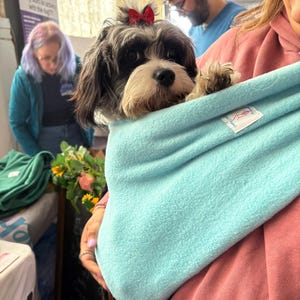 May include: A small, black and white dog with a red bow in its hair is nestled in a light blue fleece pet carrier. The dog is looking directly at the camera. The carrier is held by a person wearing a pink hoodie.