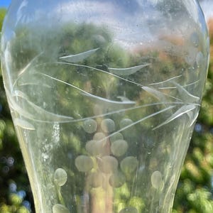 May include: A clear glass vase with etched leaf and dot designs. The vase has a flared top and a rounded body. The etched designs are delicate and add a touch of elegance to the piece. The background is blurred, with green foliage and a blue sky.