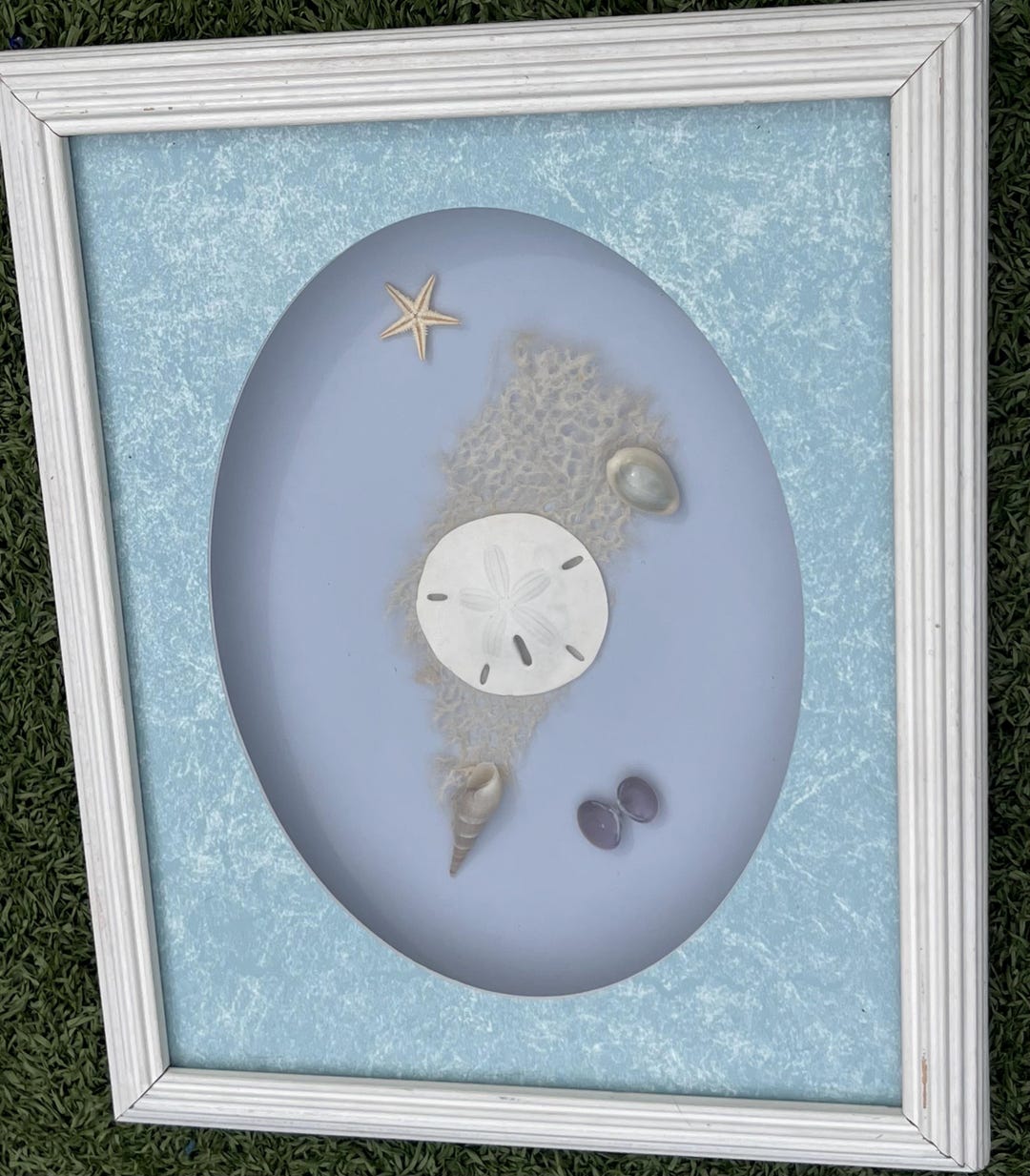 Vintage Coastal Shadow Box Wall Art – Seashells, Sand Dollar & Starfish ...
