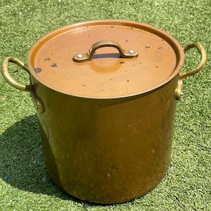 May include: A large, antique copper-colored cooking pot with a matching lid. The pot has two side handles and a handle on the lid. The pot is sitting on a green surface.