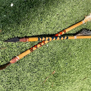 May include: Two handcrafted arrows with wooden shafts, featuring decorative patterns in red, blue, and orange. One arrow has a black arrowhead, the other has a metal arrowhead. The fletching includes feathers and is set against a green background.