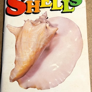 May include: A vintage book titled "Handbook of Shells" with a large seashell illustration. The cover features the word "SHELLS" in bold, colorful letters and the text "Sea Shells of the Gulf and Atlantic Coast".