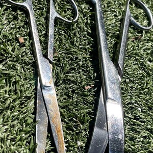 May include: Three stainless steel surgical scissors with finger loops, resting on green artificial turf. The scissors have curved blades and show signs of wear, with some rust visible on one pair.