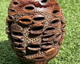Handcrafted Australian Banksia Pod Vase – 5” Natural Wood Textured Seed Pod
