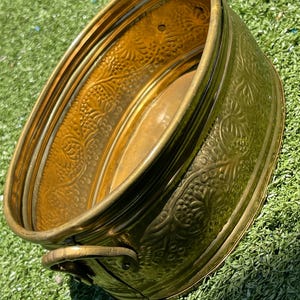 May include: A vintage brass oval planter with embossed floral and grape vine patterns. The planter has a handle on one side and sits on a green surface. The brass has a warm, golden hue, and the embossed details add texture.