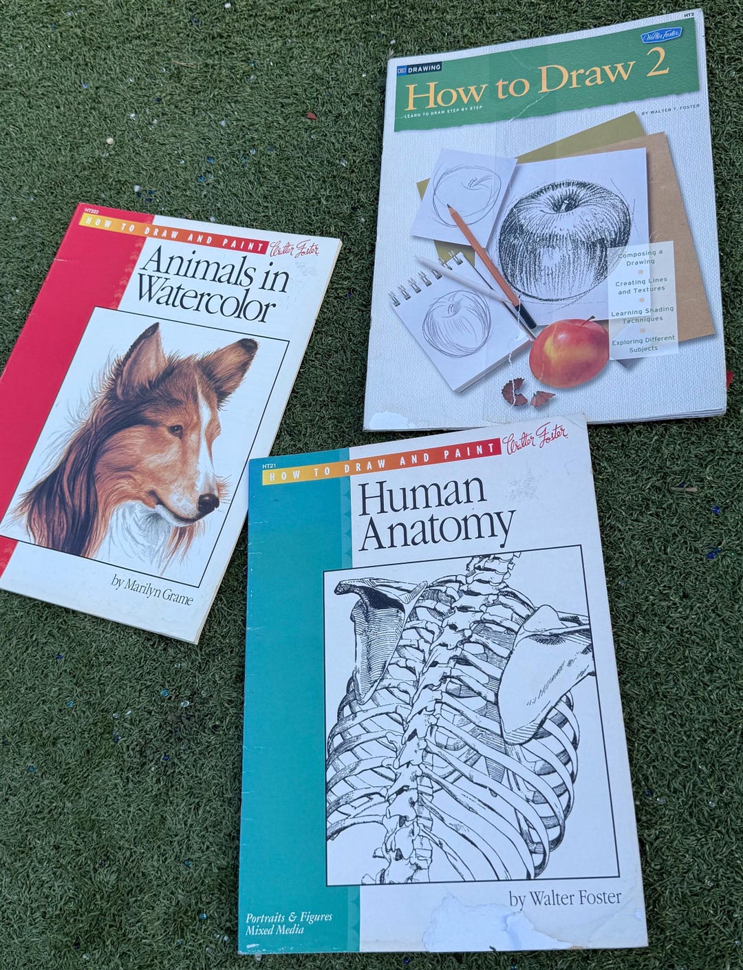 Vintage Walter Foster How to Draw & Paint Art Books Lot of 3 – Unused ...