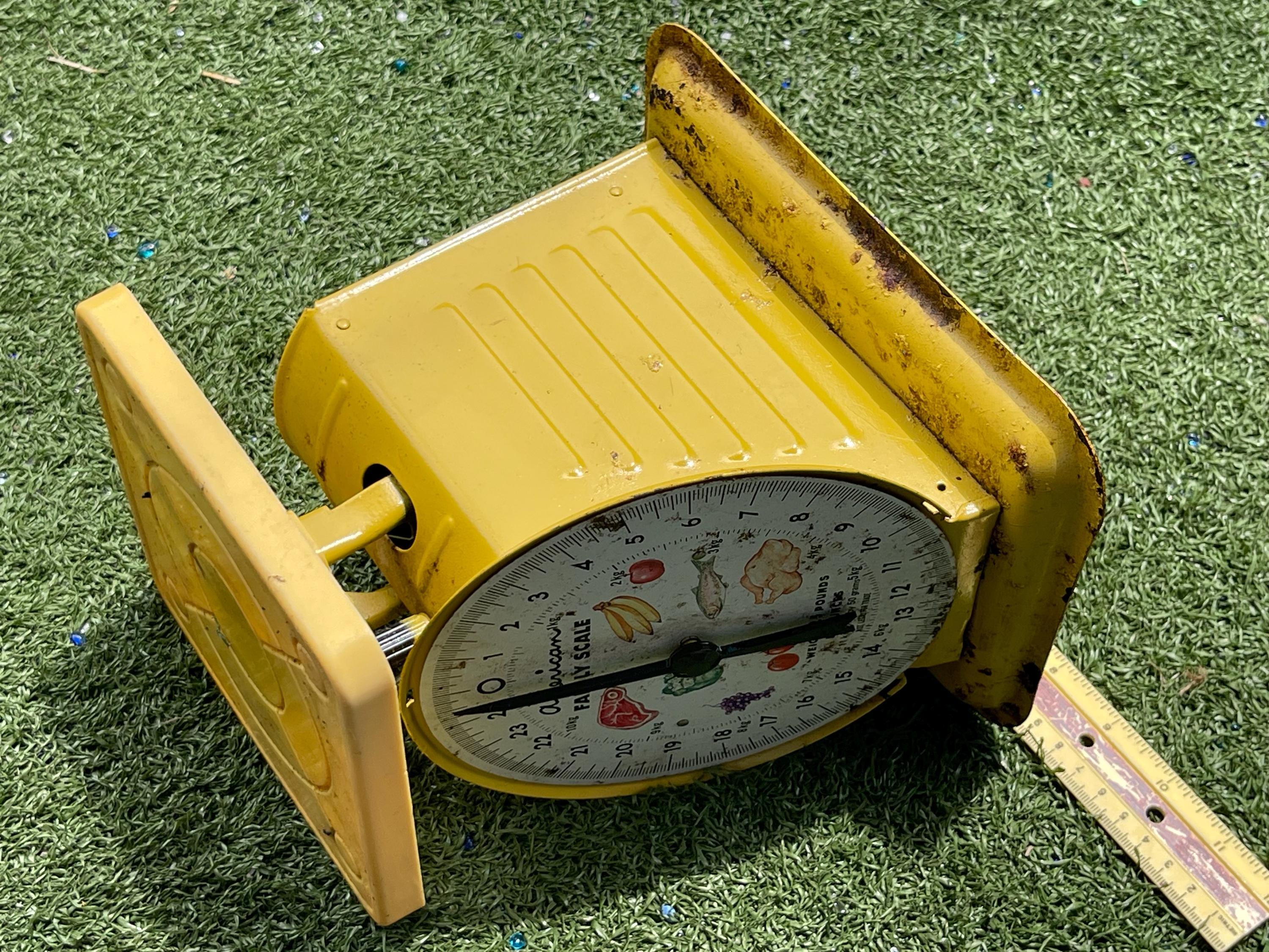 American Family Scale イエロー Vintage American Family Scale Co. Chicago 60lb Yellow | eBay