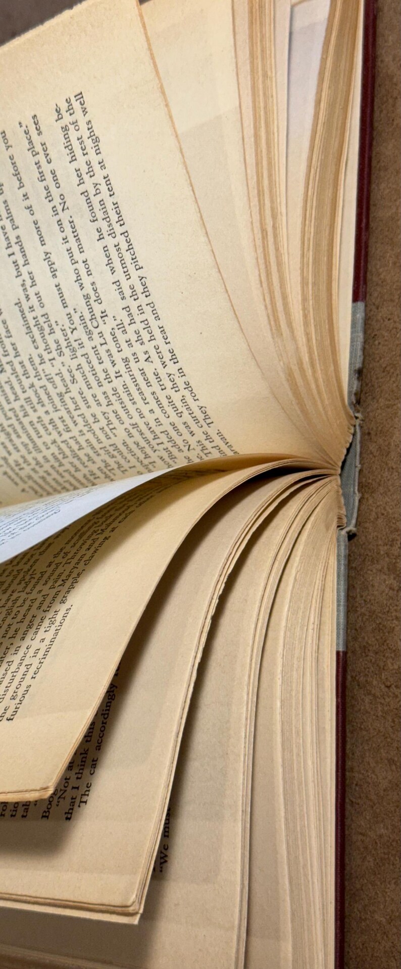 May include: Open book with aged, yellowed pages. The pages are fanned out, revealing printed text. The book's spine is visible, with a dark red cover. The text is partially visible, with words like "English" and "cat" discernible.