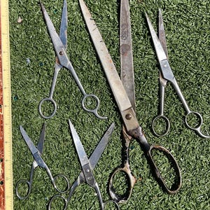 May include: An assortment of vintage scissors of various sizes, with silver blades and handles, arranged on a green surface. The scissors range from small to large, with some showing signs of age and use.