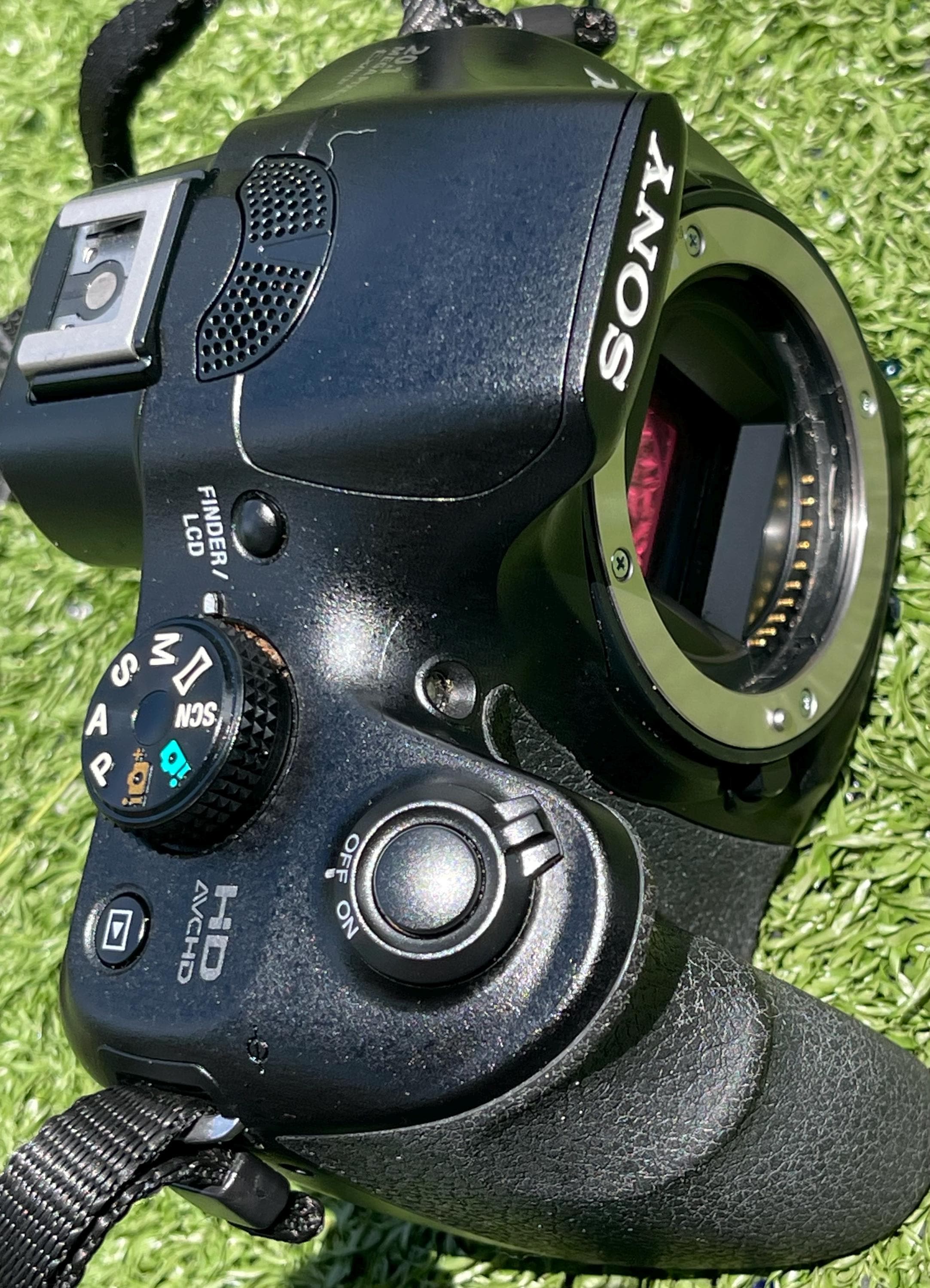 Sony Alpha Slt A55 Sample Image Settings Sony A6600 Footage Sony