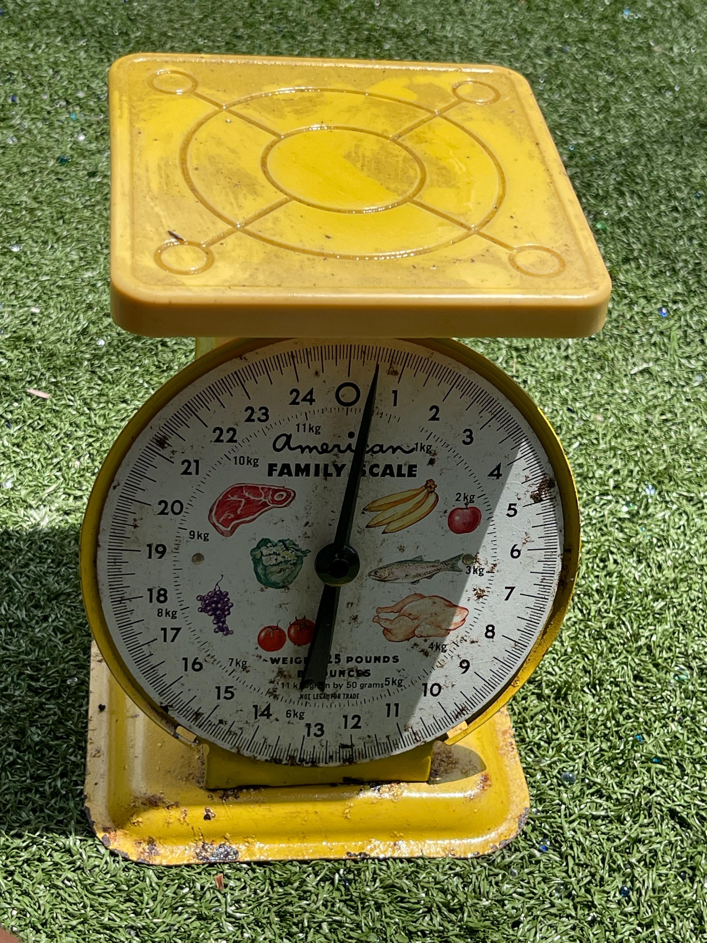 American Family Scale イエロー Vintage American Family Scale Co. Chicago 60lb Yellow | eBay
