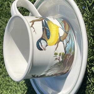 May include: White ceramic teacup and saucer set. The cup features a colorful illustration of a blue and yellow bird perched on a branch. The saucer has a green stripe around the rim. The set is placed on a green surface.