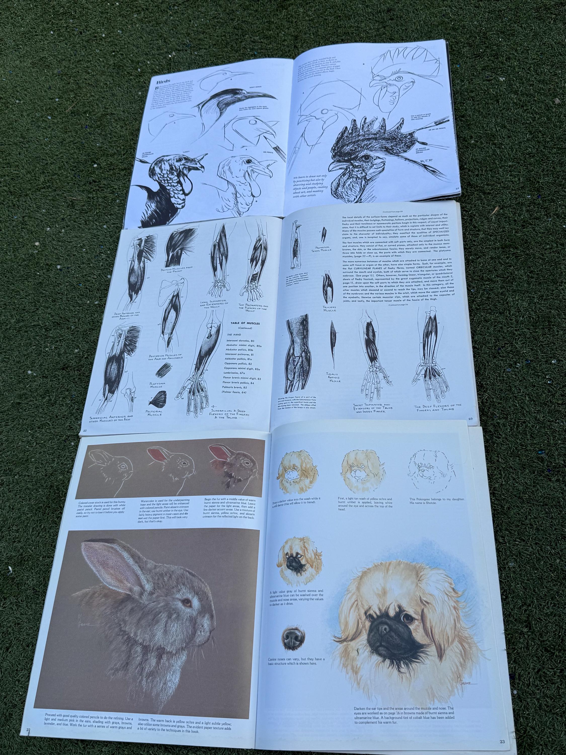 Vintage Walter Foster How to Draw & Paint Art Books Lot of 3 – Unused ...