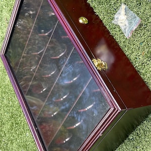 May include: A dark wood display case with a glass front, featuring multiple angled shelves. The case has brass-colored hardware and a key. The case is sitting on green grass.