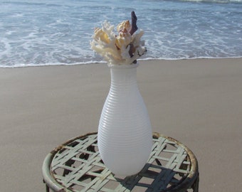 White Ribbed Vase with White and Purple Coral, Seashells