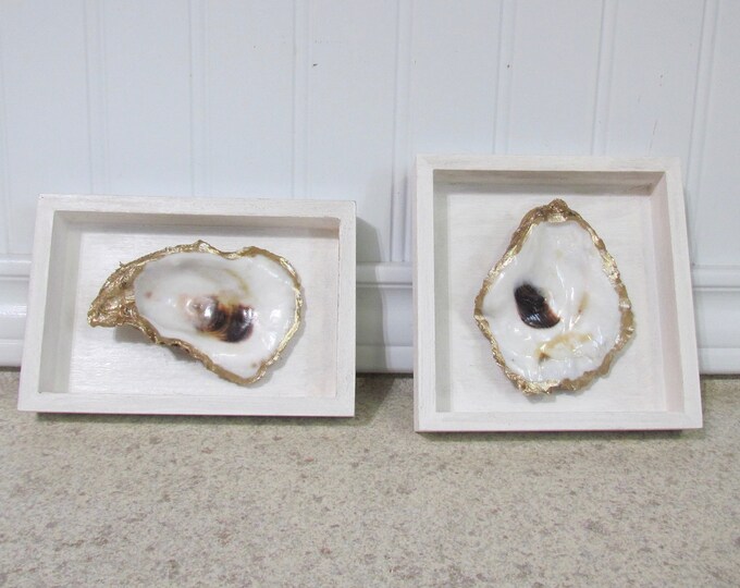 Oyster Shadow Boxes, Coastal Decor, Set of Two - Etsy