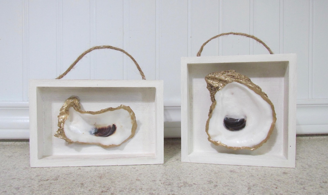 Oyster Shadow Boxes, Coastal Decor, Set of Two - Etsy