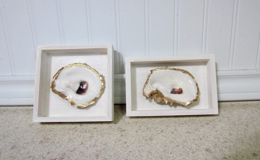 Oyster Shadow Boxes, Coastal Decor, Set of Two - Etsy